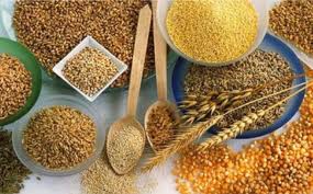 Gold Vita Comércio Produtos Naturais - Foto 1