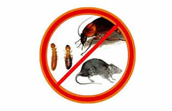 Dedetizadora e Desentupidora Stop Serv - Foto 1