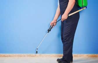 Zoonose Controle de Pragas - Foto 1