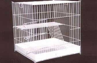 Pet Shop e Avicultura América Animal - Foto 1