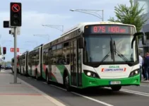 nova linha de ônibus