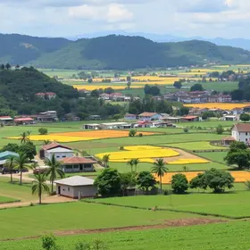 investimento em negócios rurais São Paulo