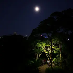 caminhada noturna Mata de Santa Genebra