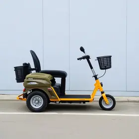 manutenção gratuita equipamentos de mobilidade