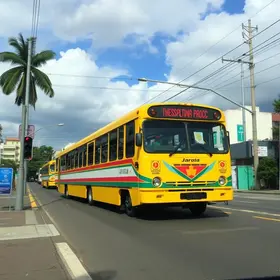 Jaraguá para Grajaú