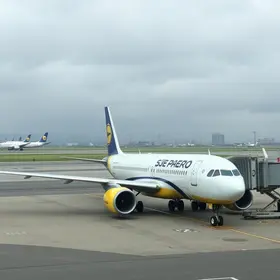 pane nos aeroportos de São Paulo
