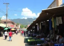 mercado popular