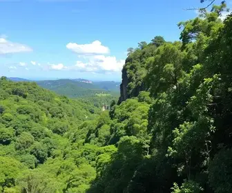 passeios gratuitos em parques naturais de SP